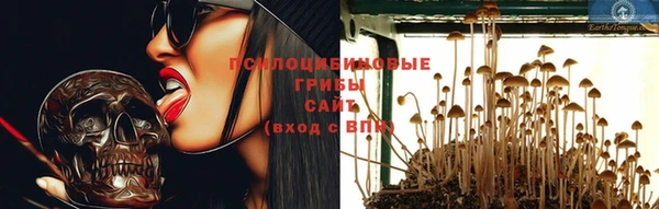 Альфа ПВП Няндома