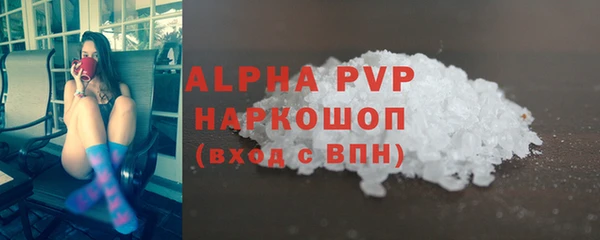 индика Зеленокумск