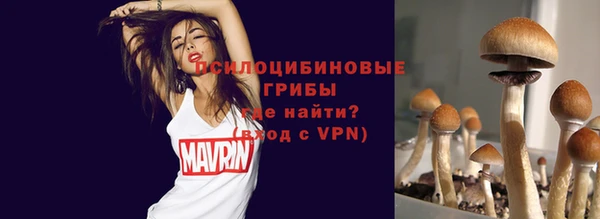 Альфа ПВП Няндома