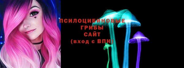 крисы Заводоуковск