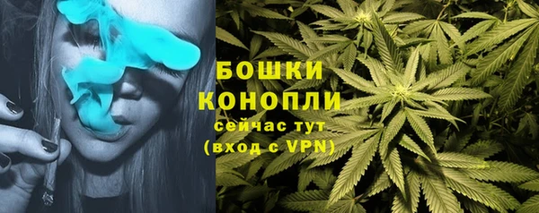крисы Заводоуковск