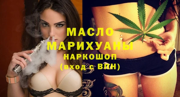 индика Зеленокумск