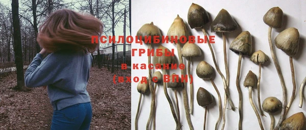 Альфа ПВП Няндома