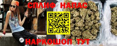 дживик Камышлов