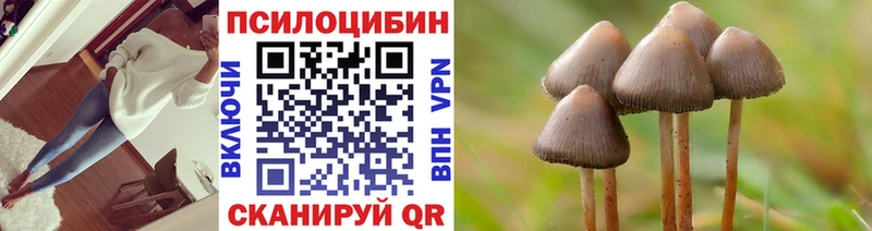 купить наркотик дарк нет состав OMG ССЫЛКА Псилоцибиновые грибы Cubensis Саянск